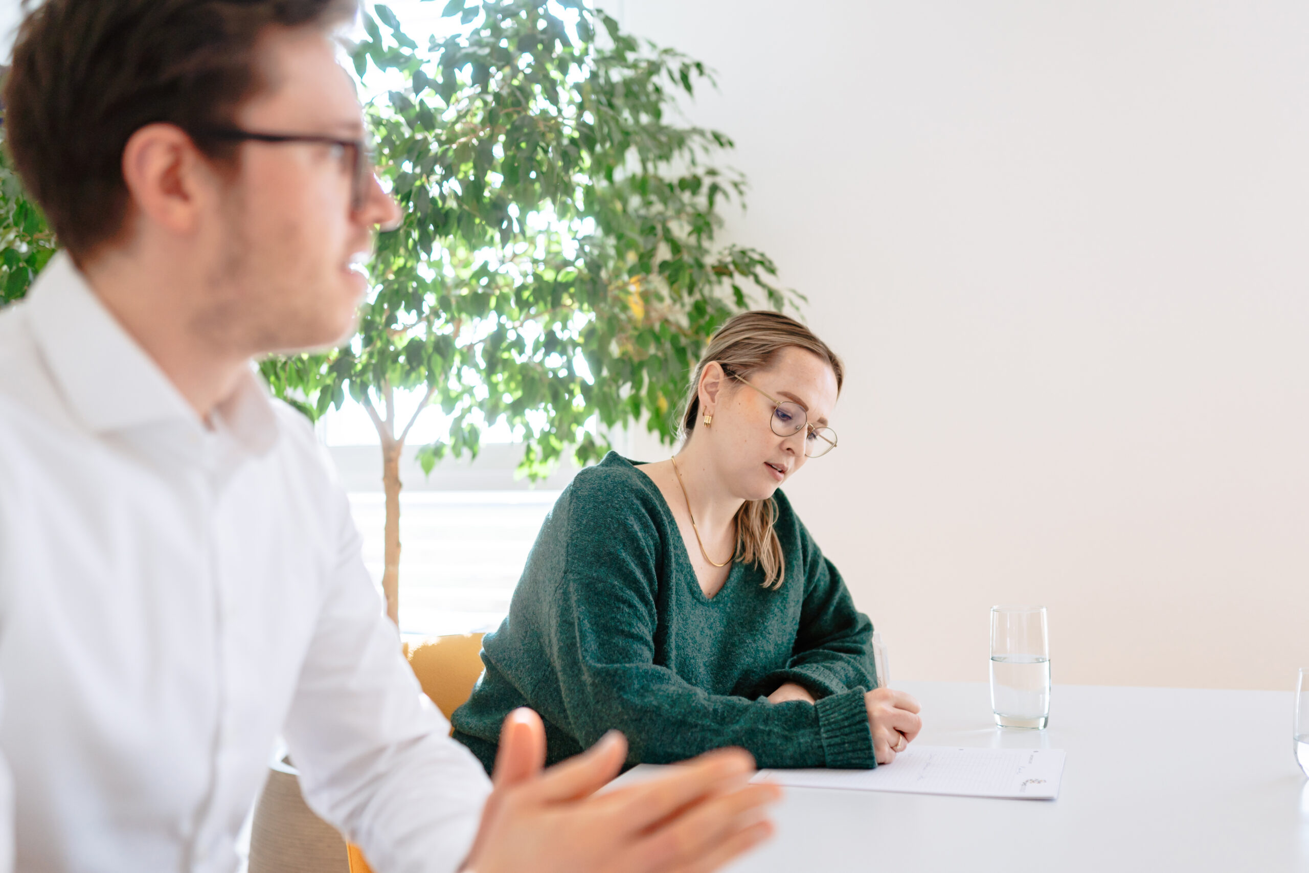 Mehrwert MyCulture Kulturanalyse Zwei Personen diskutieren bei Analysegespräch in heller Büroumgebung mit Pflanzen, wie die aktuelle kulturelle Ausrichtung zu den Umfeldfaktoren des Unternehmens passt